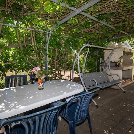 Violett * Βόντιτσε